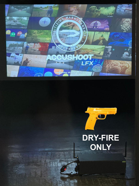 DFX Bundle